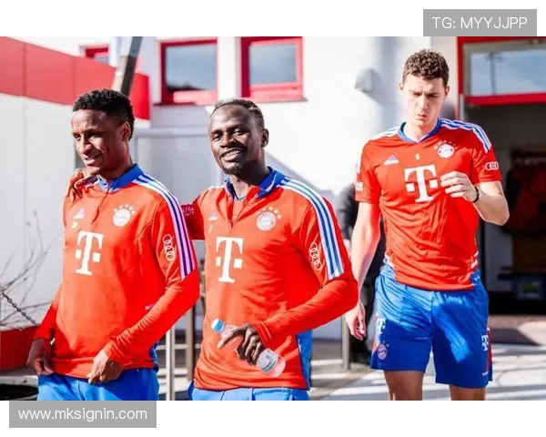 德甲球队特点有哪些及各队风格解析